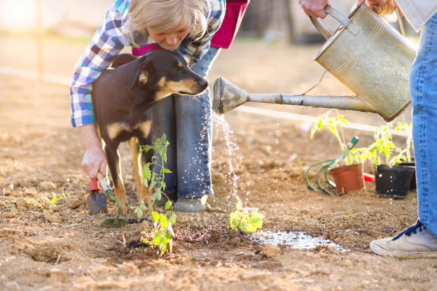 The Farmer’s Fantasy – Achieving the Perfect Outdoor Paradise