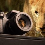 Best Trail & Game Camera Placement Strategies Review for Hunting