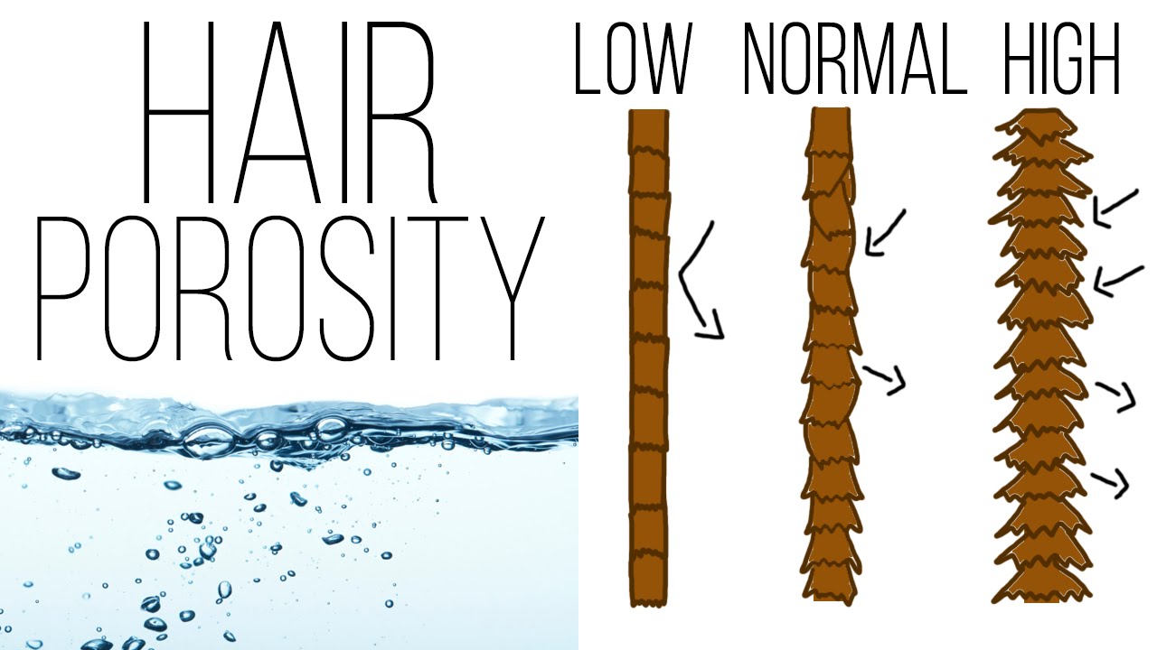 Hair porosity