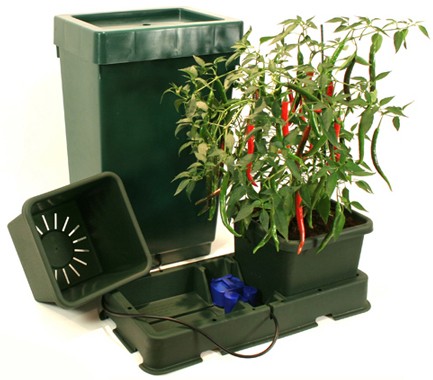 Hydroponic Kits