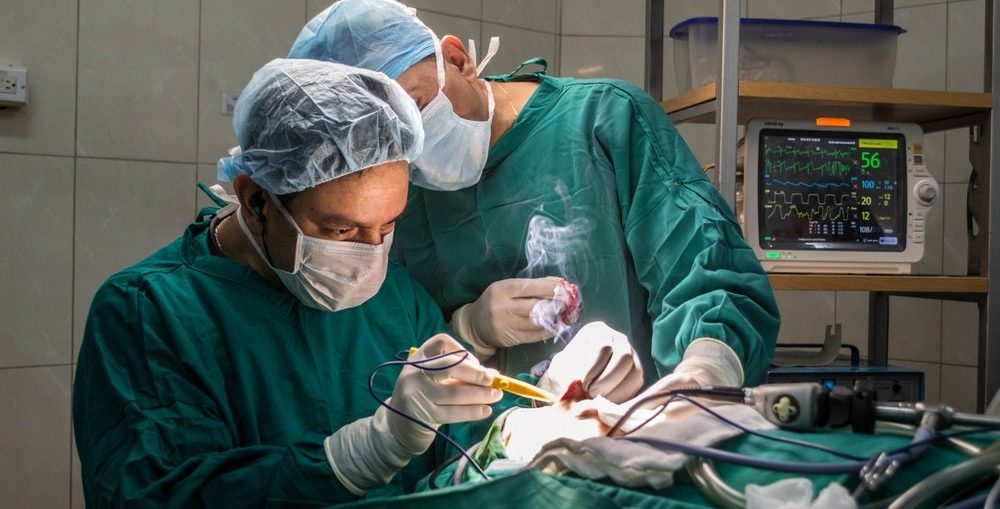 Preparing To Partner With A Physician Recruitment Firm WorthvieW