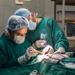 Preparing to Partner with a Physician Recruitment Firm