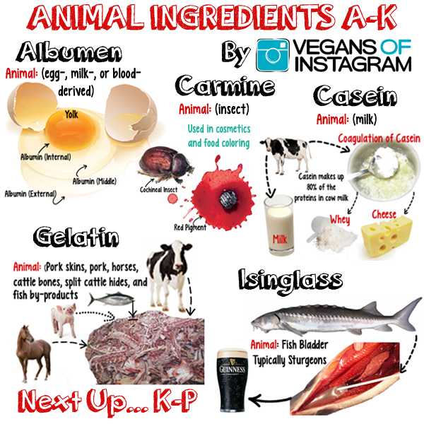 All You Need To Know About Animal Products Used As Ingredients In Food
