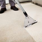 5 Reasons to Hire a Carpet Cleaning Service