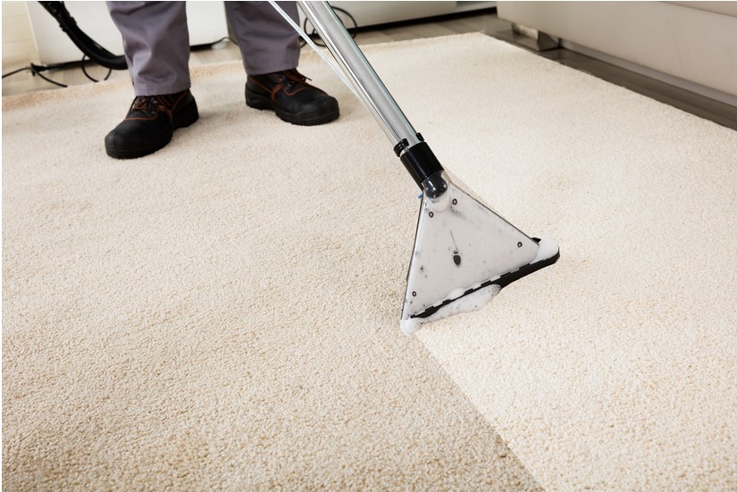 5 Reasons to Hire a Carpet Cleaning Service