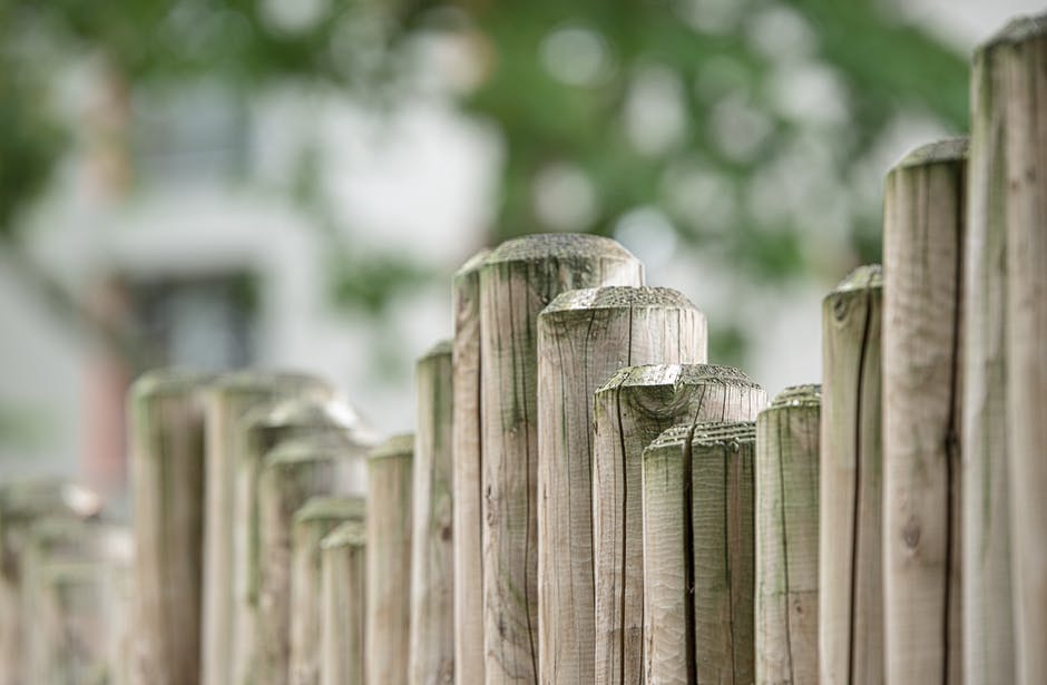 fence-wood-fence-wood