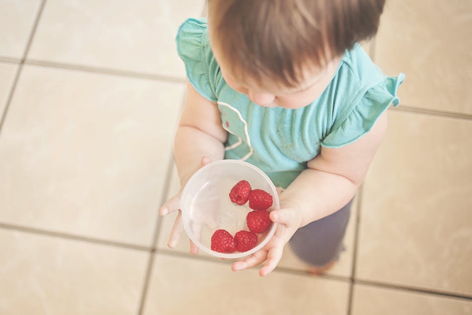 Healthy Lunchbox Ideas for Toddlers