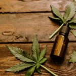 CBD and Cannabis: Should You Jump Into the Industry?