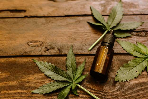 CBD and Cannabis: Should You Jump Into the Industry?