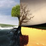 A Complete Guide for Crafting a Compare and Contrast Essay