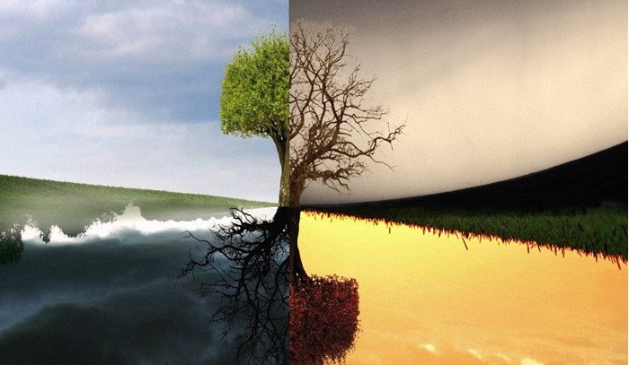 A Complete Guide for Crafting a Compare and Contrast Essay