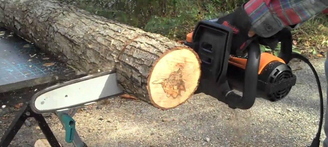 Electric Chainsaws The "Best" for Tree Felling and Trimming WorthvieW