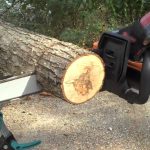 Electric Chainsaws: The “Best” for Tree Felling and Trimming