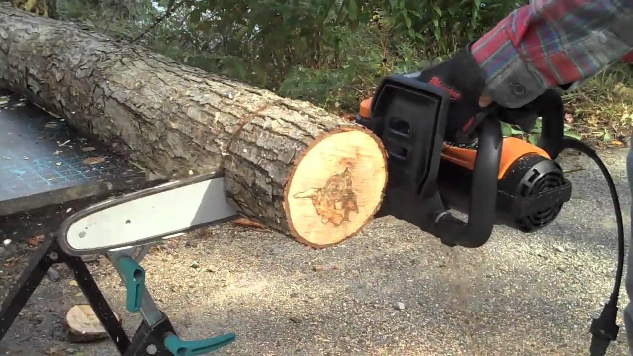 Electric Chainsaws: The “Best” for Tree Felling and Trimming