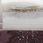 Why New Jersey Homes are Prone to Mold and Water Damage Inspection