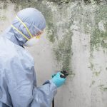 What You Need to do to Remove Mold Caused From Water Damage