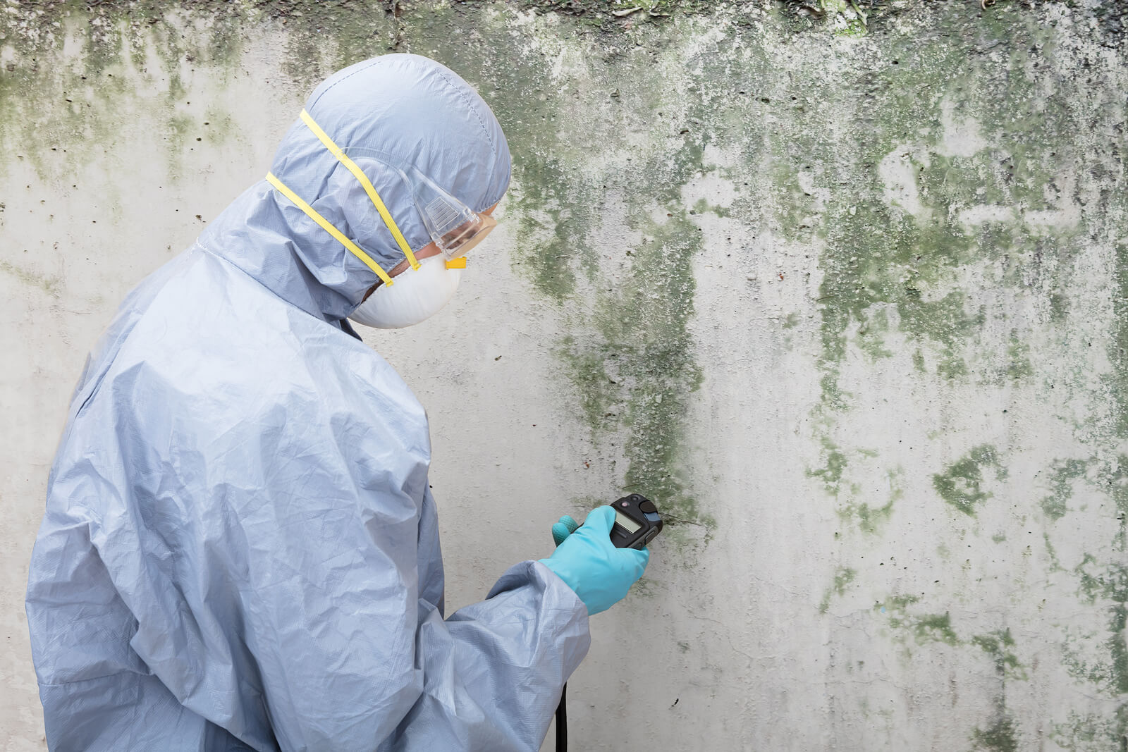 What You Need to do to Remove Mold Caused From Water Damage