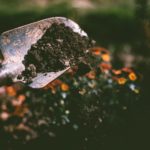 3 Ways That Soil Can Impact Bio-Retention
