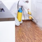 Reasons Why You Should Leave Pest Control To The Experts