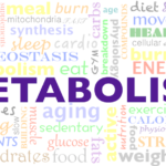 6 Easy Ways to Speed Up Your Metabolism