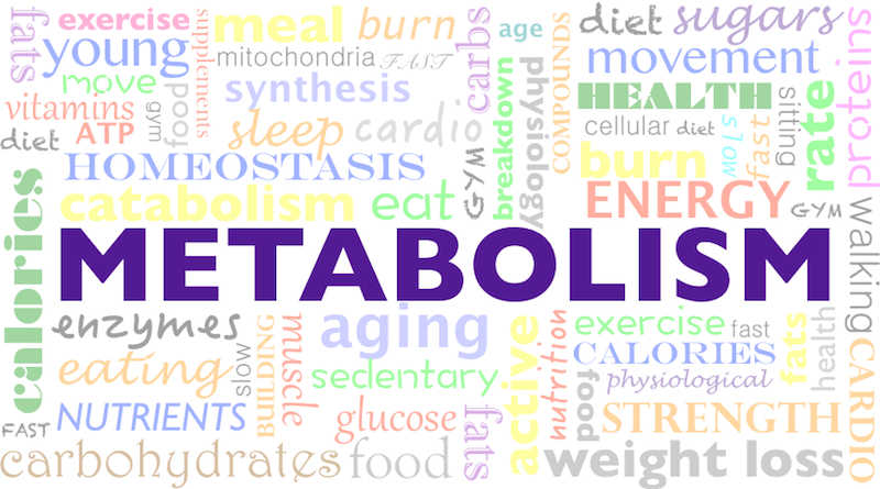 6 Easy Ways to Speed Up Your Metabolism