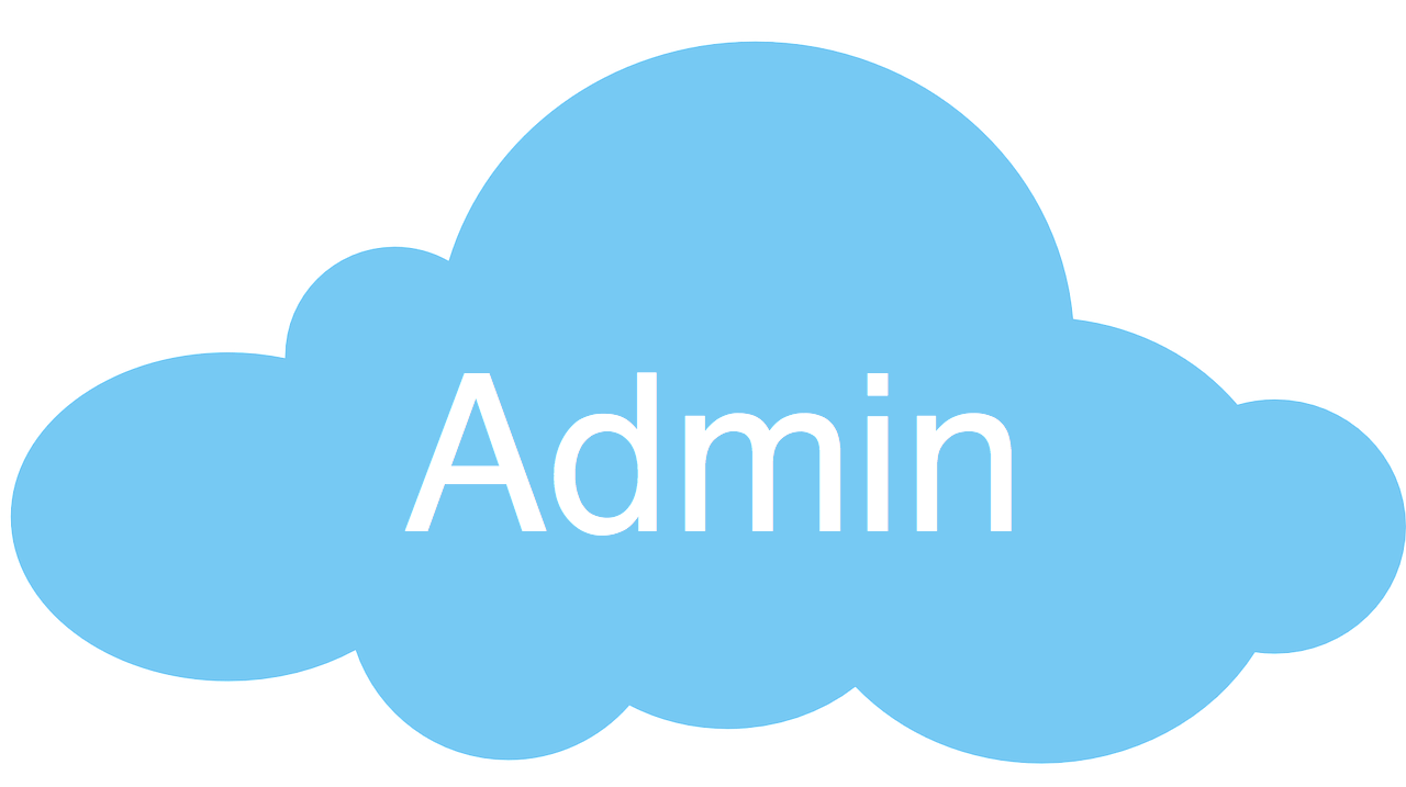 How To Become A Professional Salesforce Admin? Introduction