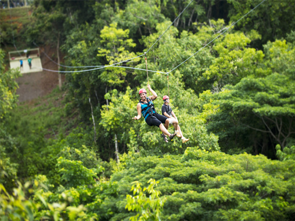 Zipline safari
