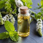 Six Essential Oils to Help You Battle Allergies