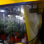 7 Best Reasons To Get A Grow Tent For Setting Your Garden
