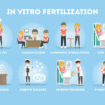 The Growth of Fertility Treatments Worldwide
