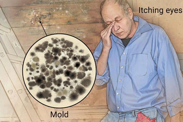 mold-health-effects