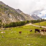 Make Pakistan Your Next Hiking Destination