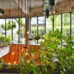 Indoor Gardening: The Ultimate Guide to be a Successful Garden Expert