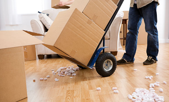 4 Important Types of Canadian Moving Services