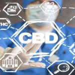 CBD, THC, Sativa, and Indica: What’s the Difference?