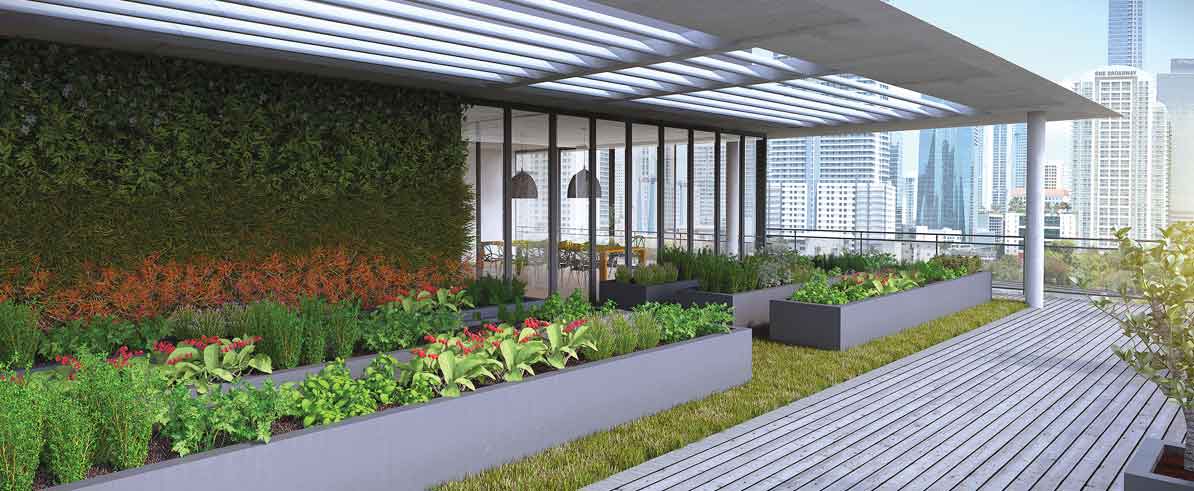 Add plants in garden