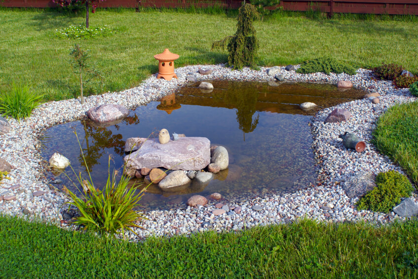 pond in garden