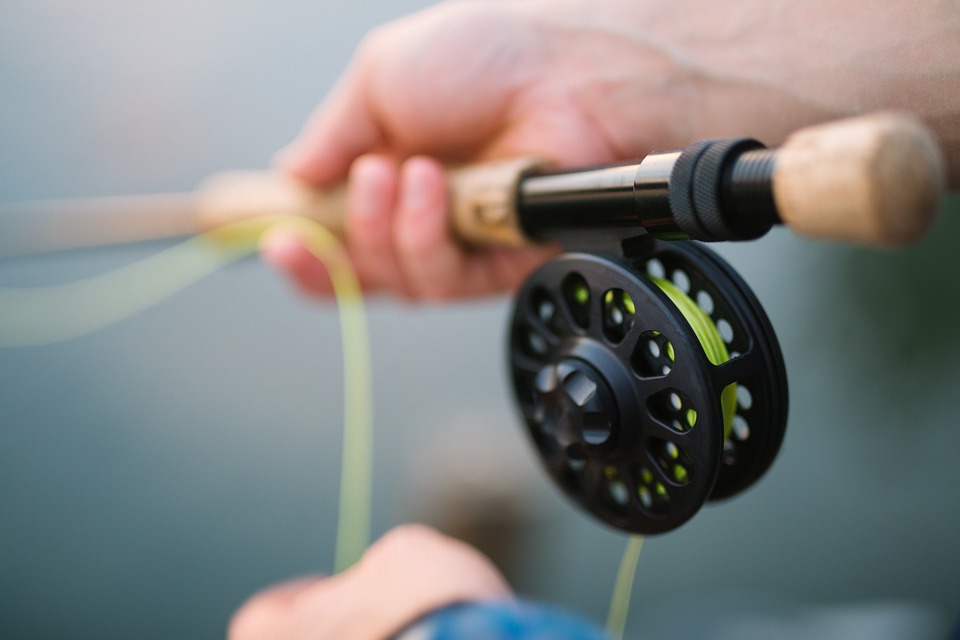 10 Principal Tips For Bass Fishing