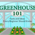 Choosing a Greenhouse – [ Infographic ]
