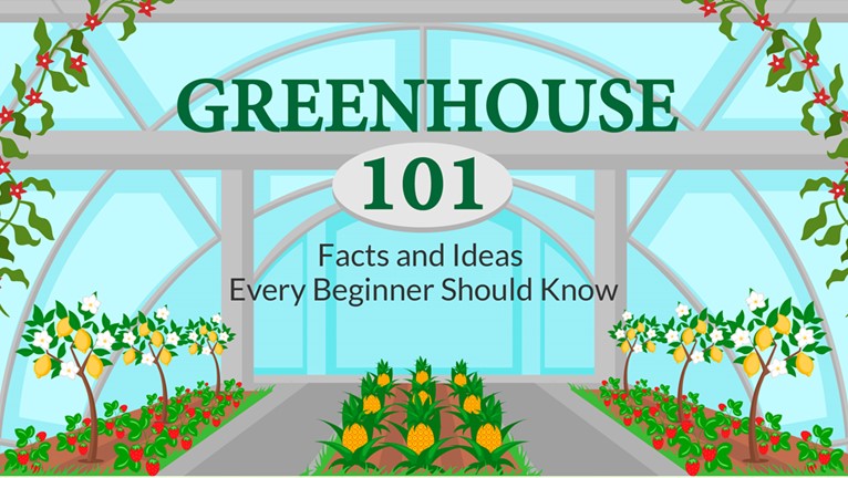 Choosing a Greenhouse – [ Infographic ]
