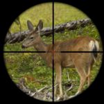 Fixed Scopes Vs. Variable Scopes For Hunting Rifles: Which Is Better?