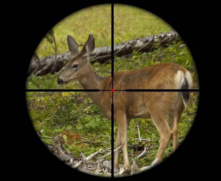 Fixed Scopes Vs. Variable Scopes For Hunting Rifles: Which Is Better?