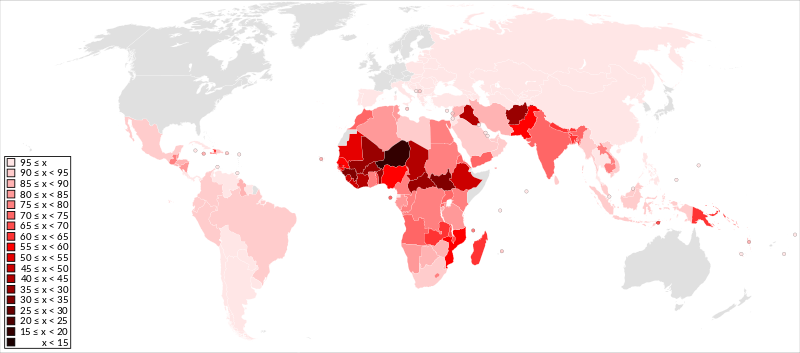 countries by literacy rate