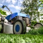 3 Reasons to Hire a Professional Landscaper