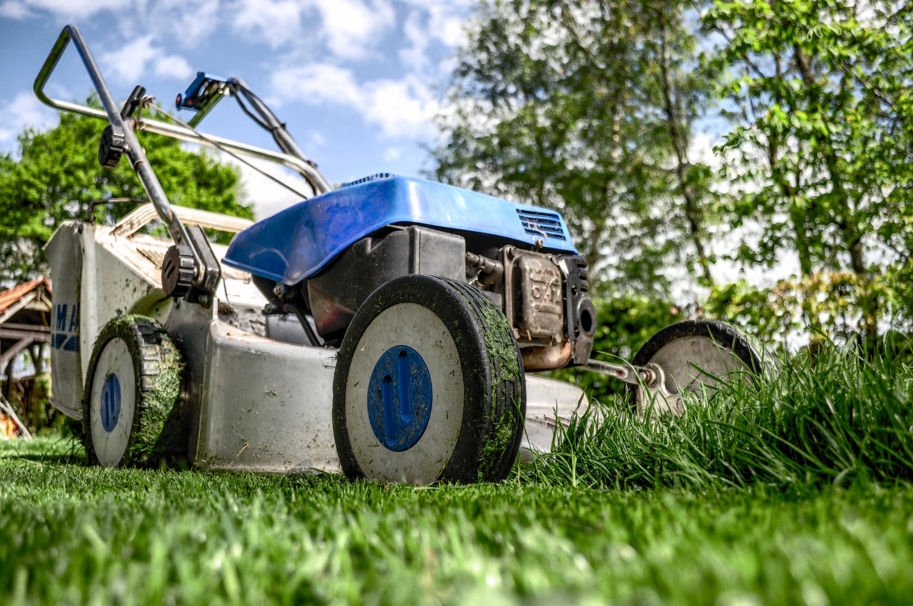 3 Reasons to Hire a Professional Landscaper