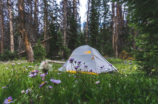 Bug-Free Tent