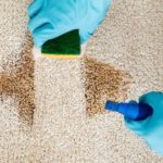 Cleaning Hack: Best Ways to Remove Tea Stains from the Carpet