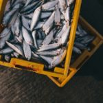 6 Factors to Consider When Choosing a Seafood Home Delivery Company
