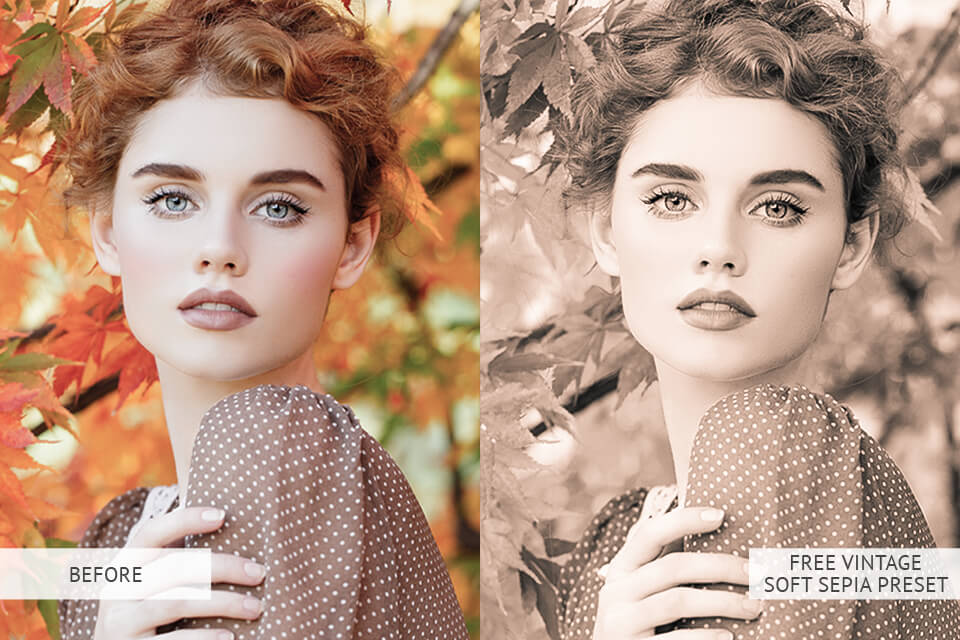 FREE Vintage Soft Sepia Preset