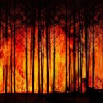 How Climate Change is Changing Insurance Policies